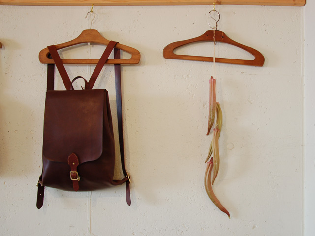 あたらしい仲間、夏の野菜