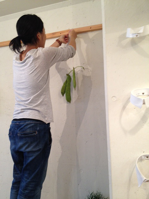 今週のグリーン大臣