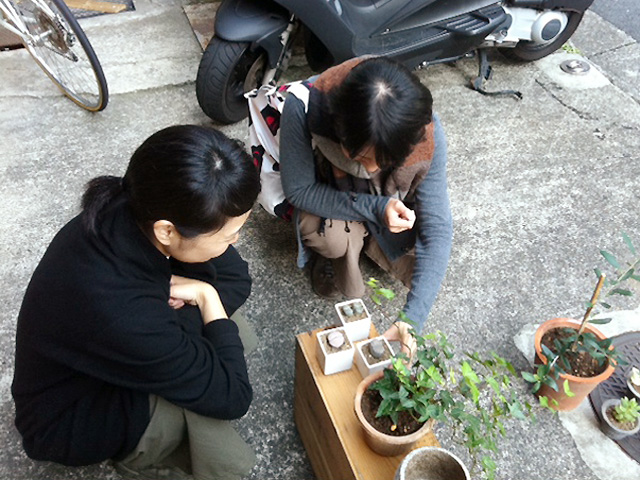 多肉について語る二人