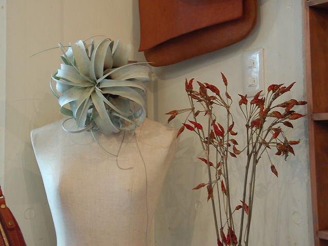 左は髪の毛みたいな雰囲気