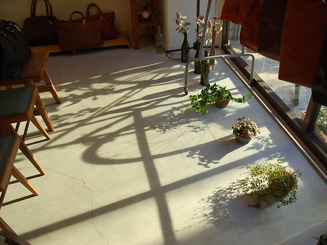 影が長くなりました