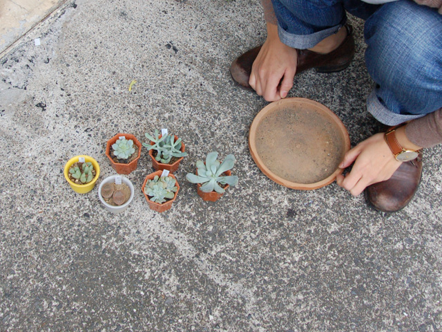 マリコレクション