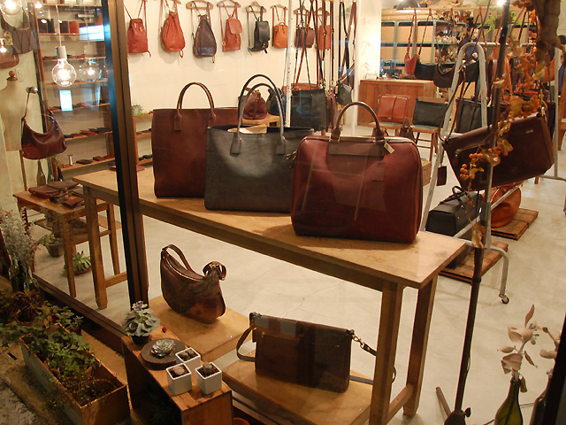 ハバナがお出迎え