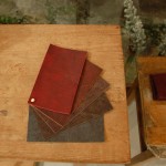 ハバナサンプル