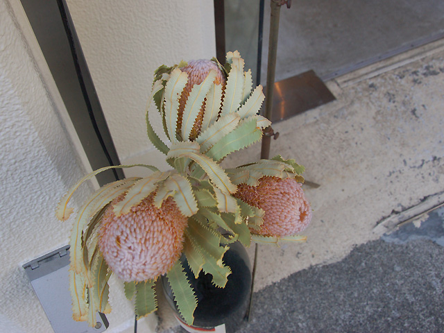 結構かたいグリーン