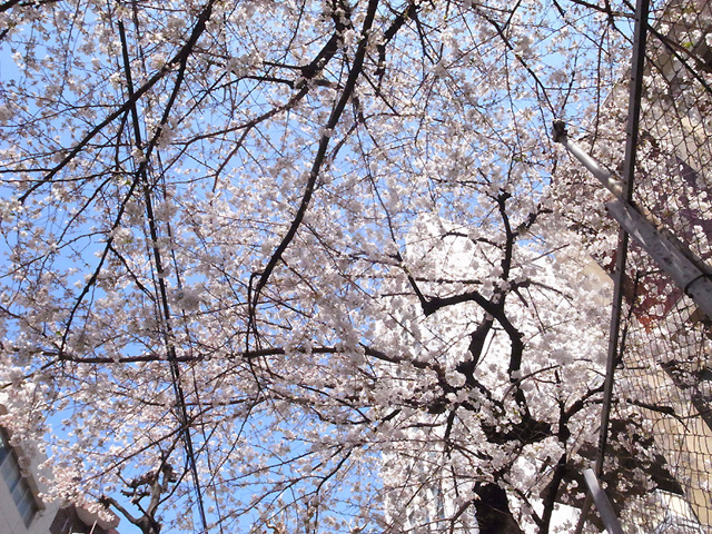 どこでしょう?パート1