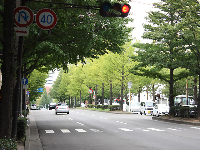 上の方、うっすら黄色く