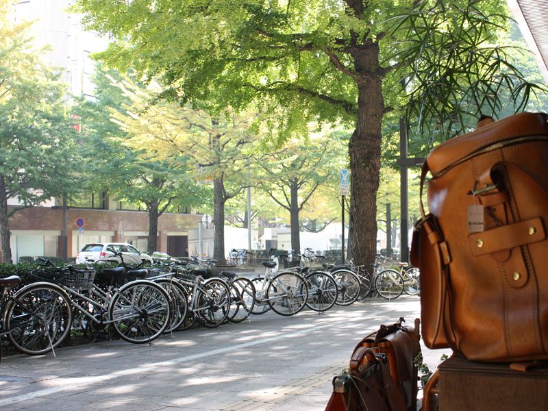 仙台店の銀杏並木