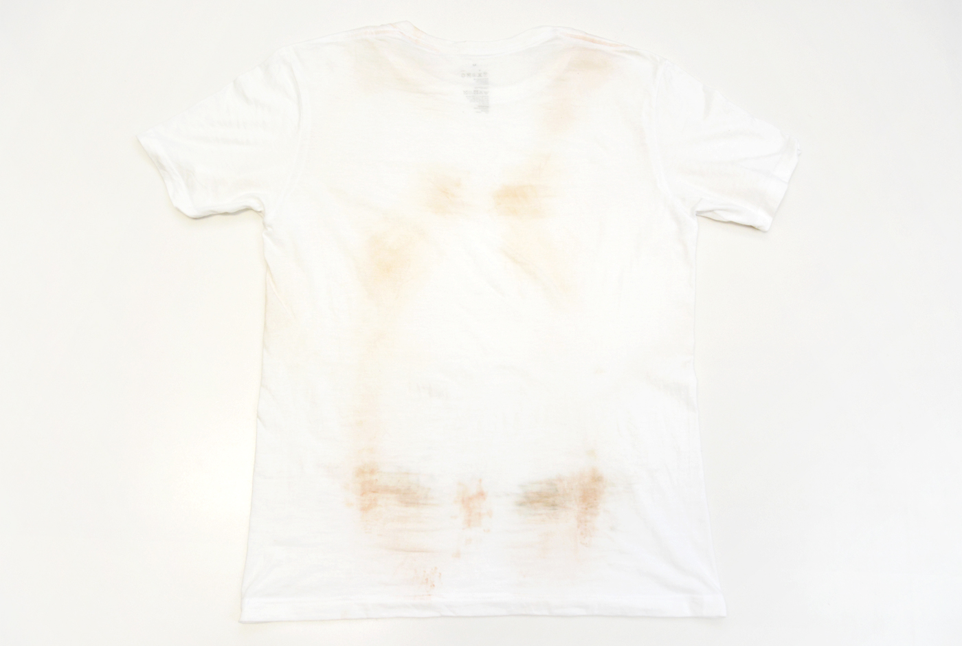 HERZなんでも実験室 Vol.2 番外編 白T