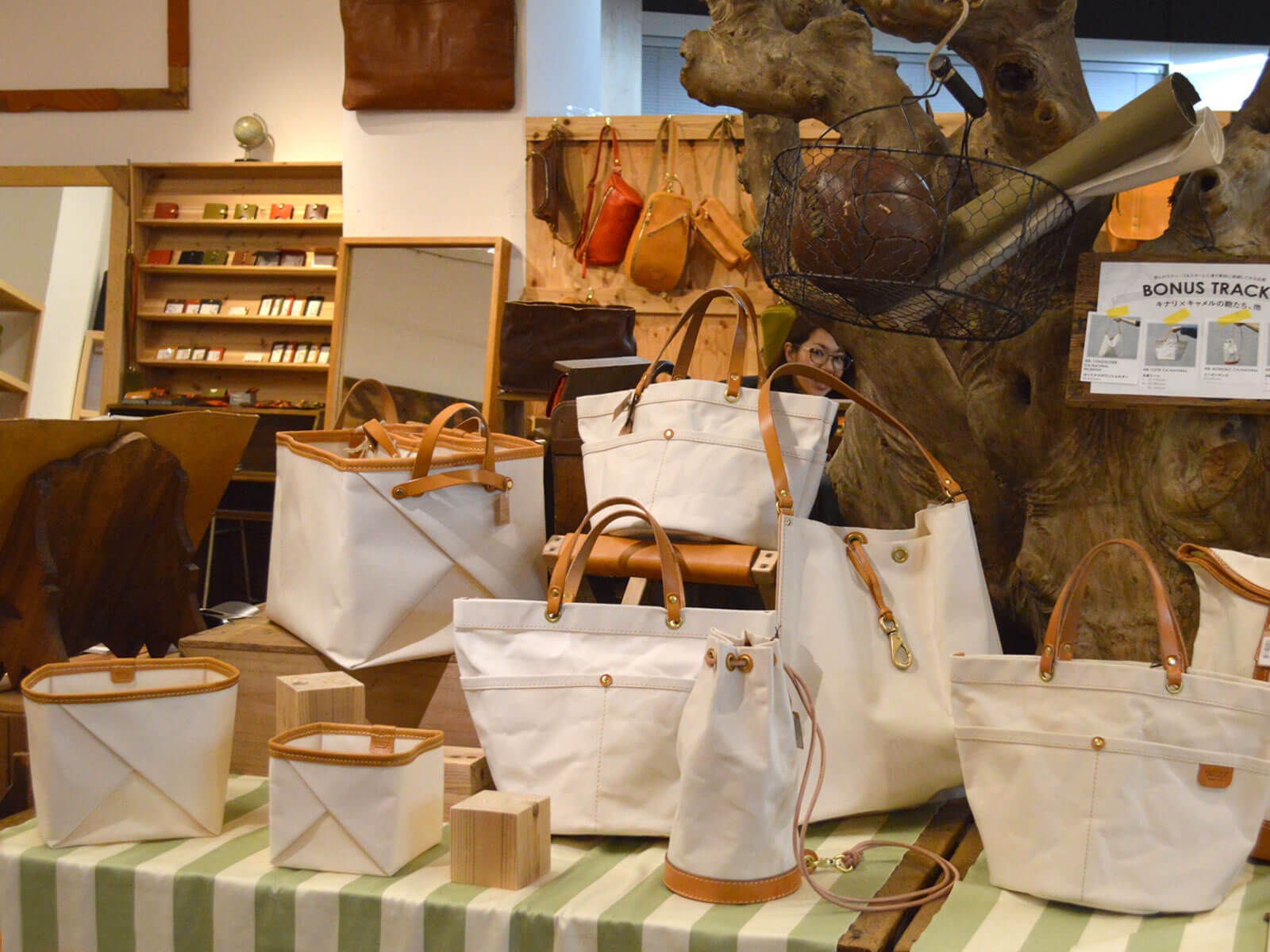 2017フルラインナップ!