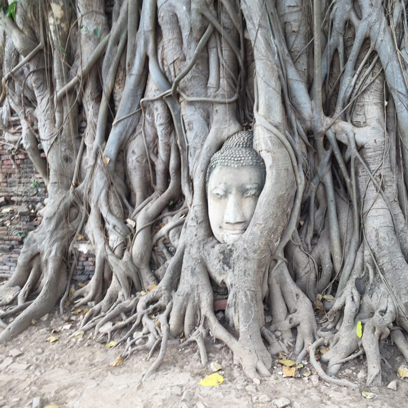 海外旅行、タイの様子その2