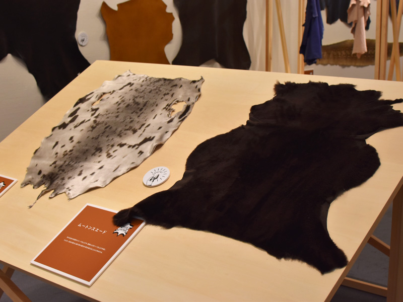 イベントの展示物その1