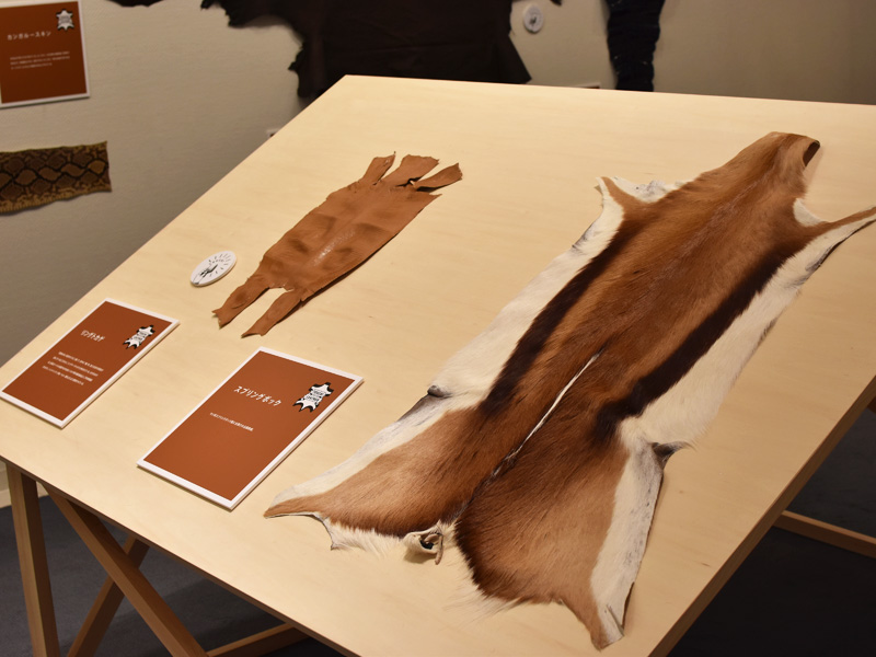 イベントの展示物その3