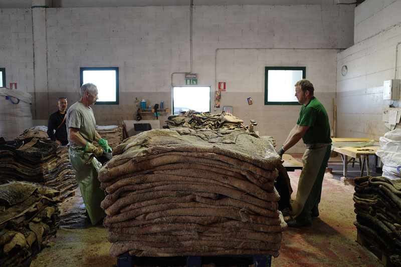 イタリアタンナー見学3