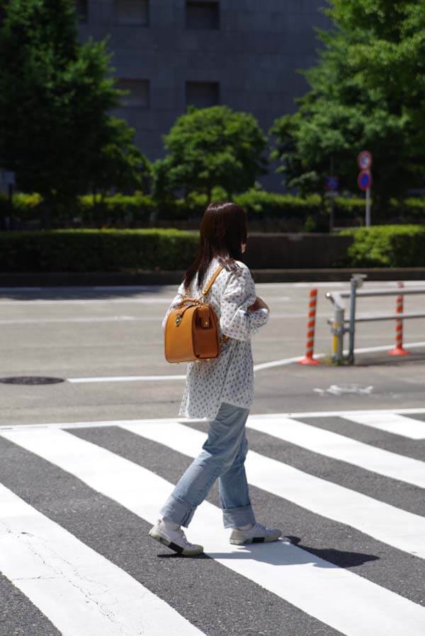 ルドミニョン(R-35)_CA着用2