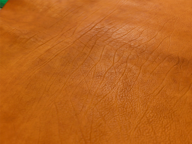 タンドーのキャメル