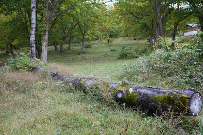 蔵王山頂の近くにあるキャンプ場3