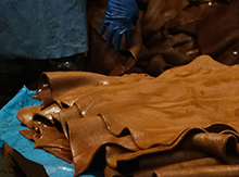 革鞣しの職人仕事