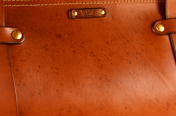 グラッドストン・バッグ(P-2)エイジング例