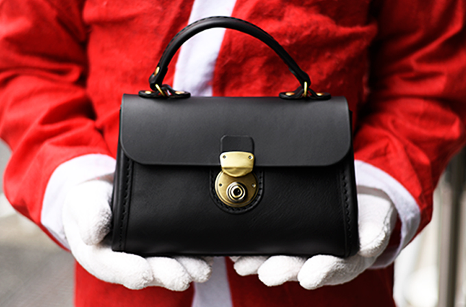 プチミニョン(Q-10)