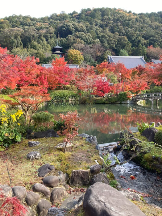スタッフ岡村の日常2