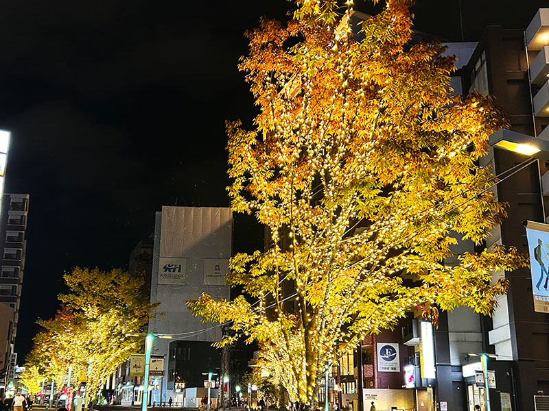 クリスマスモードの博多の街