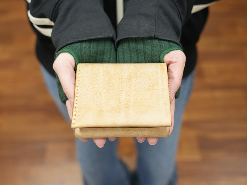 NETアラスカ第二弾ラインナップ/(NSA-270)①